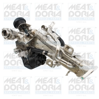 EGR Module